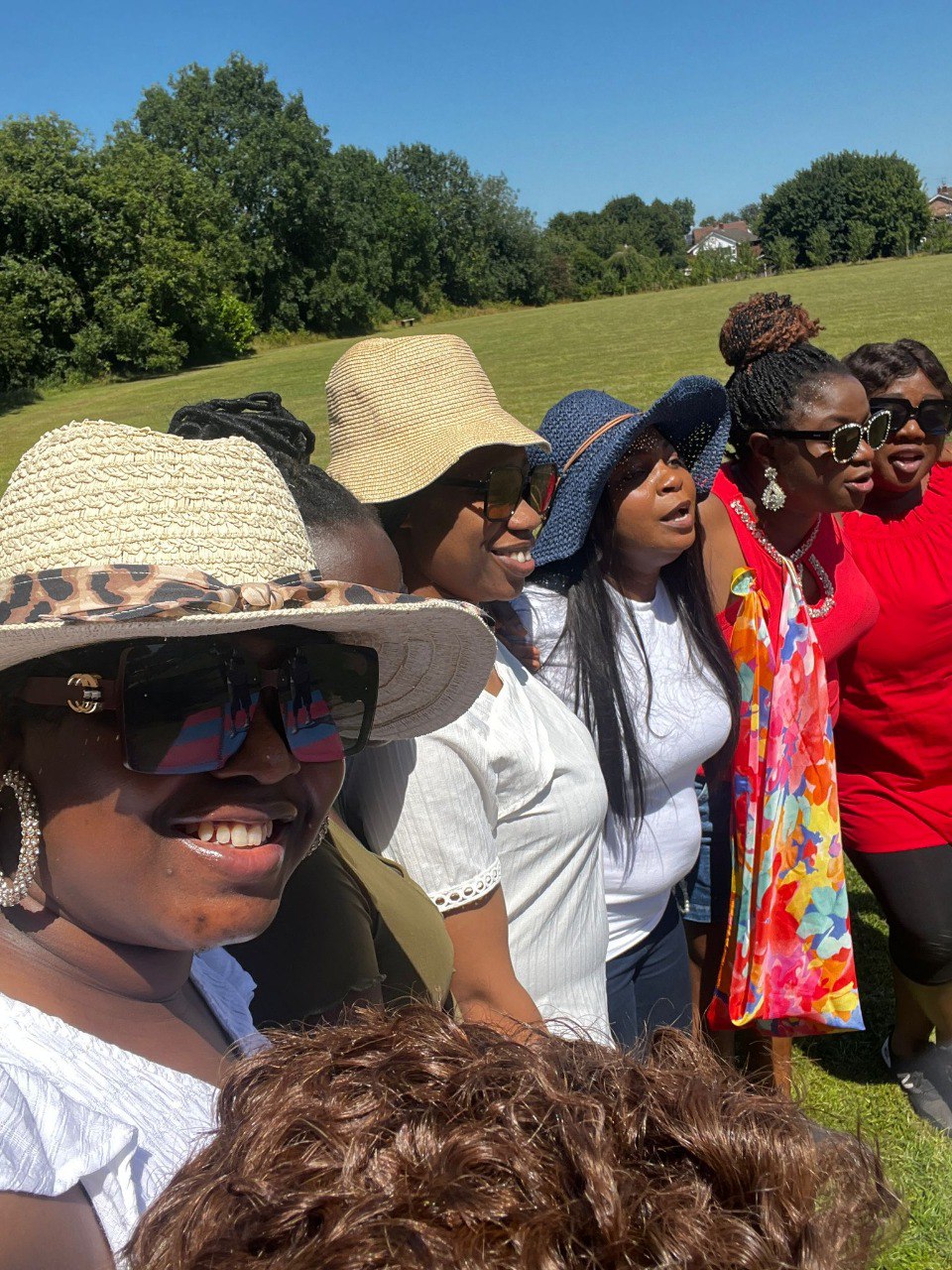 ladies summer picnic